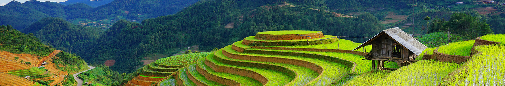 Off The Beaten Track Tours