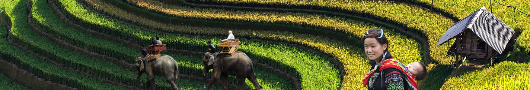Vietnam & Thailand Trips