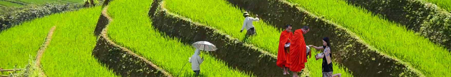 Vietnam and Laos tours
