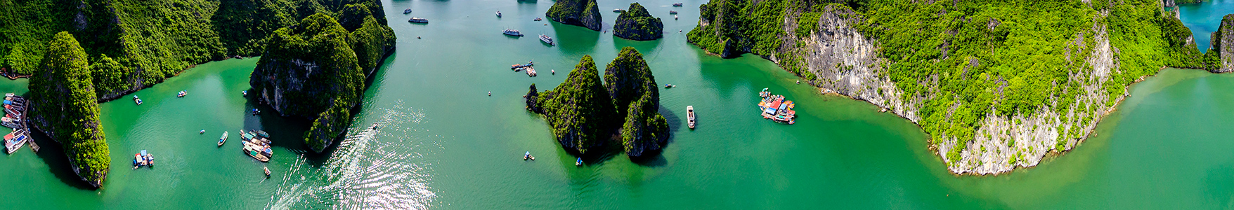 Halong Bay Tours