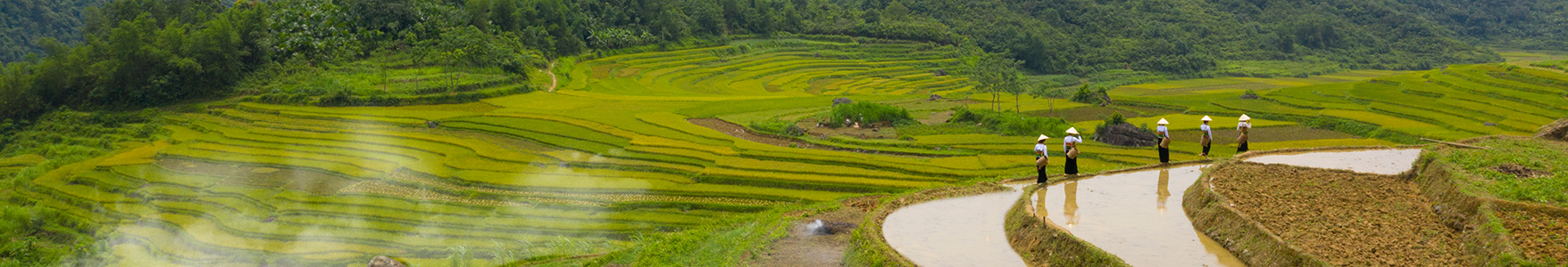 Vietnam Travel Adventure