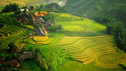 Things to know about Ta Van village, Sapa before travel 