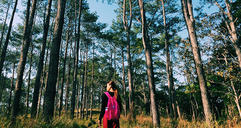 Trekking trip in Kirirom National Park