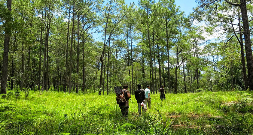 Kirirom National Park is established on a seven hundred meters hill covering an area of over thirty five thousand hectares in the Elephant Mountains