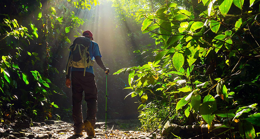 Trekking trip to explore Lumphat Wildlife Sanctuary