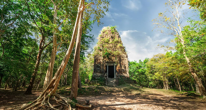 Northern sanctuary group comprised 11 sanctuaries separated from each other with the one at the middle