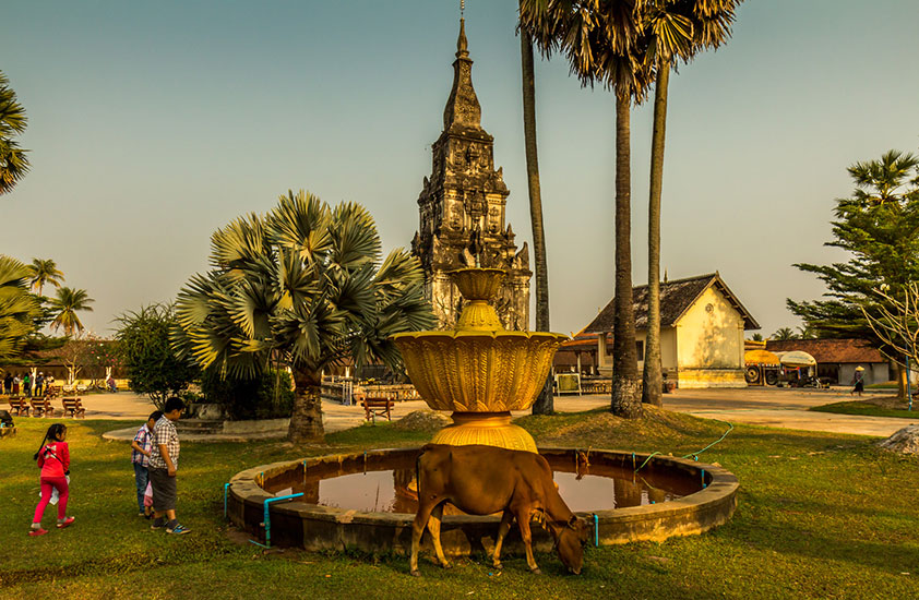 That Phone Stupa