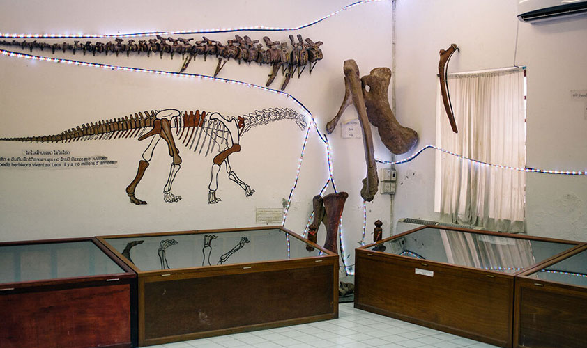 The Savannakhet Dinosaur Museum