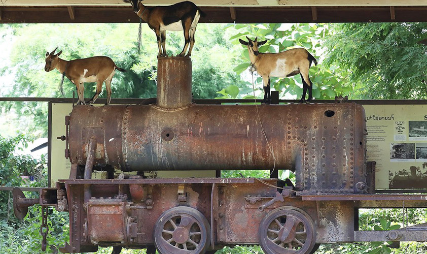 The amazing things on Si Phan Don islands 