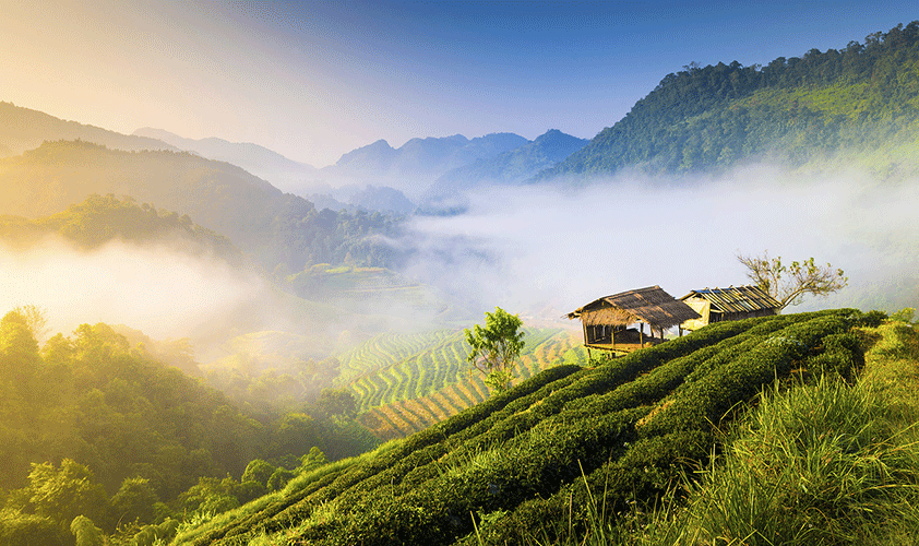 Chiang Mai offers some of the most picturesque scenary in the whole Kingdom