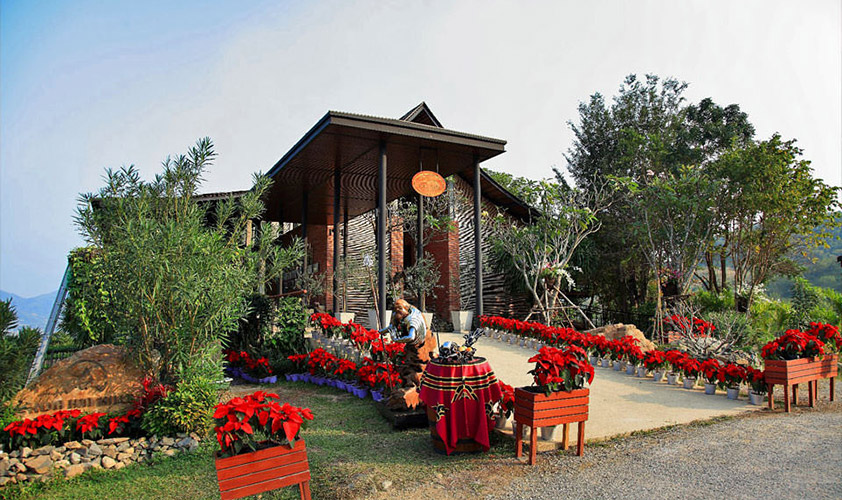 Hua Hin Vineyard
