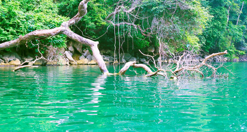 The scenery is kept wild throughout the time