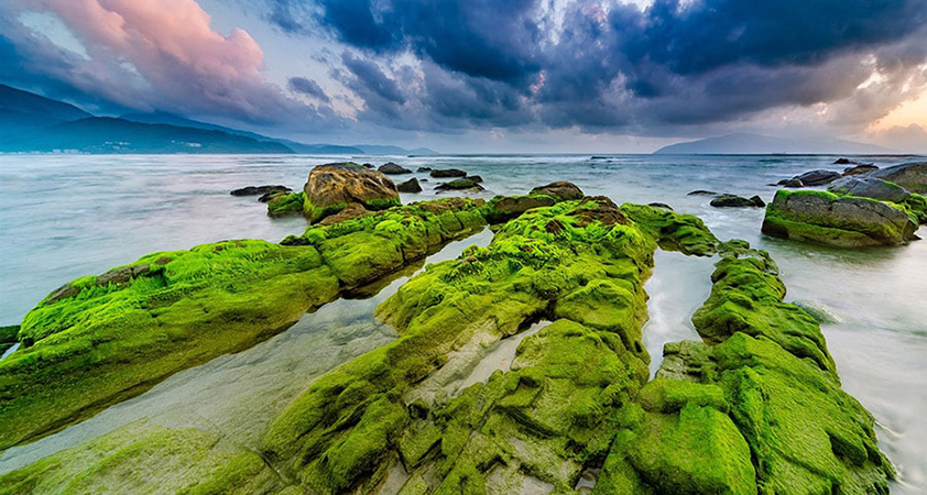 The rocks are all covered in blue moss