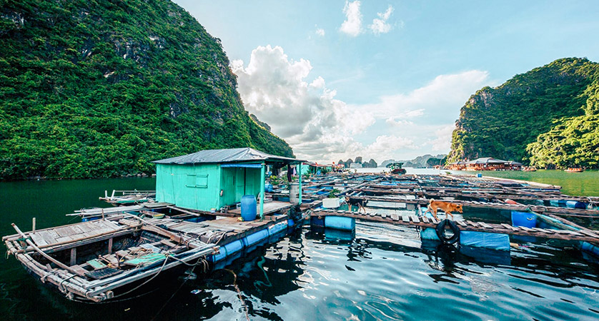 If you are first-time visitors, you should explore Halong bay Vietnam first
