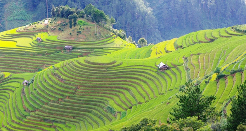 Lai Chau - A beautiful mountainous land