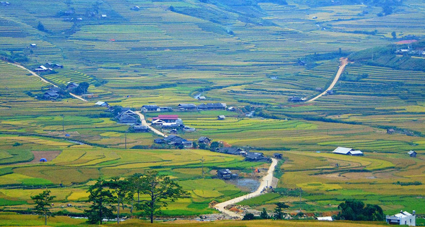 Muong Thanh, the largest field in Northwest Vietnam