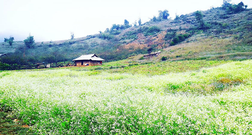 Do not miss the peaceful scenery alongside the road