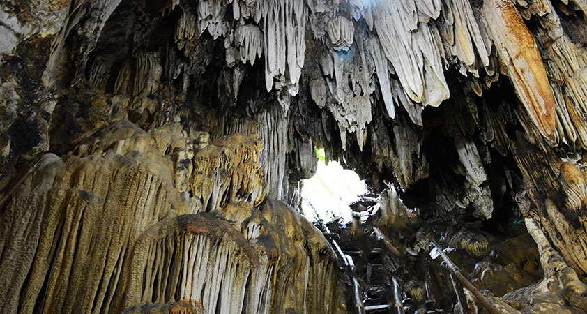 Ngu Dong Ban On still keeps its original wild majesty