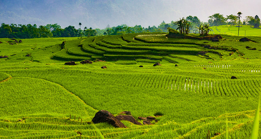 Immerse in the fresh and charming atmosphere in Pu Luong Thanh Hoa