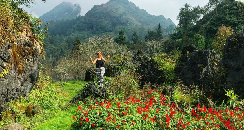Flower ranges stretch from the foot to the top of the mountain
