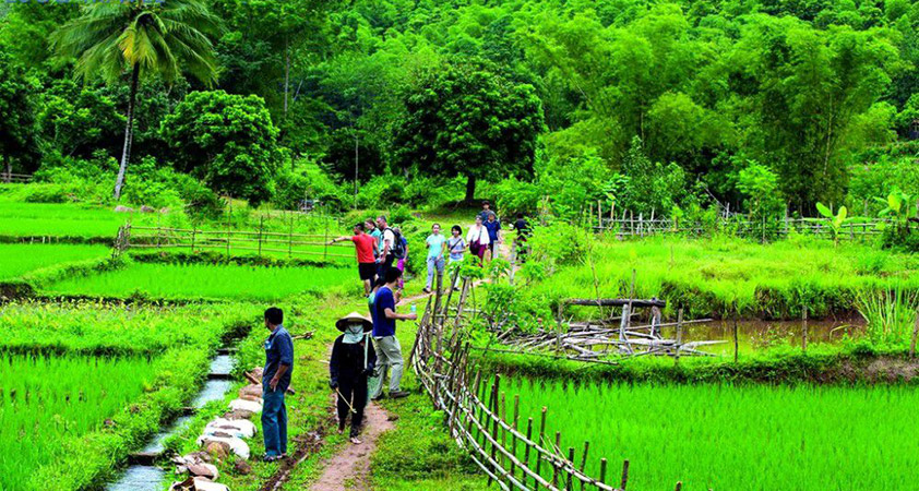 A trekking trip around Cuc Phuong National Park
