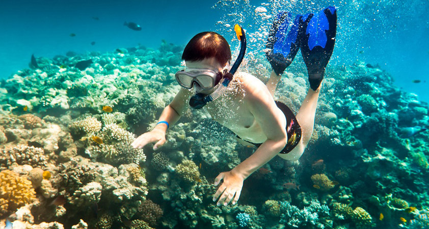 This unusual weather pattern allows swimming, snorkelling and diving to be an all-year-round activity in Con Dao