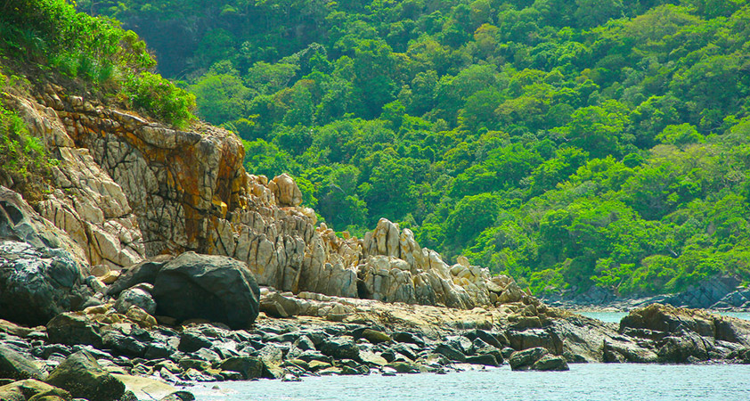 The forest cover on the islands is dense