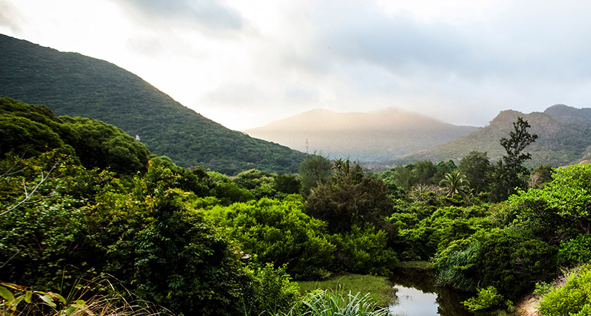 Con Dao National Park is now considered one of the best examples of marine conservation in Vietnam