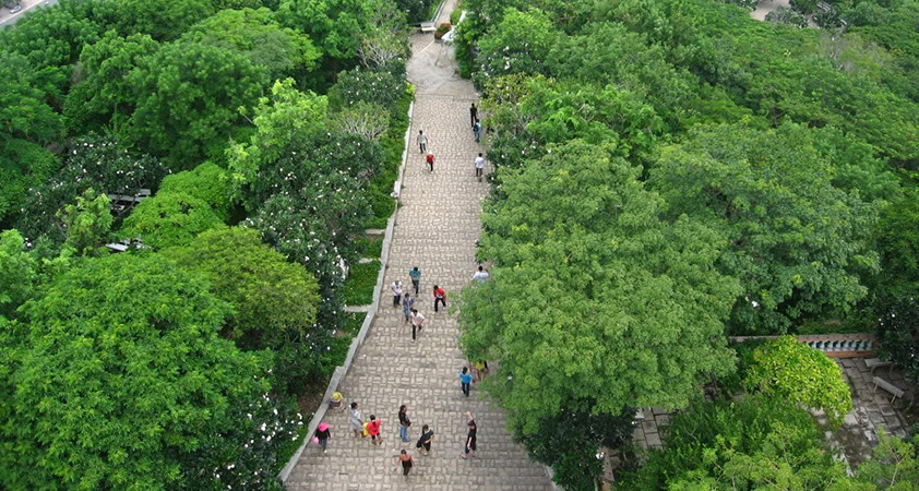 The road to Statue of Jesus