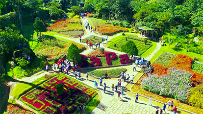 Experienced guide for a journey to Ham Rong Mountain in Sapa, Vietnam