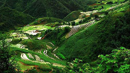 What to do in Son La Province, Vietnam