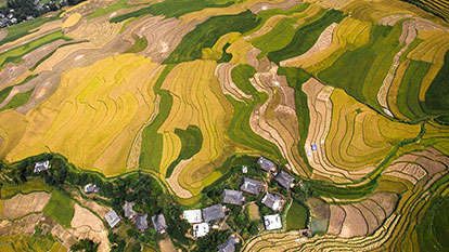 Immerse in the natural spa of Tu Len Valley in Yen Bai, Vietnam