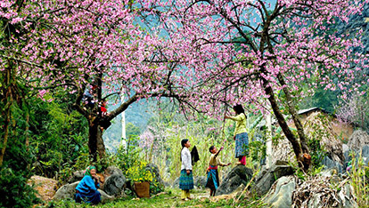 Vietnam Travel Best Time with Top Tourist Spots - A Guide from VietnamSpiritTravel