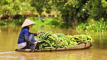 Gain a reasonable experience of Vinh Longs distinctive culture