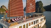 Violet Junk on Halong Bay