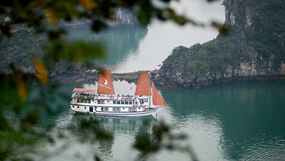 Phoenix Junk on Halong Bay | 3 days 2 nights
