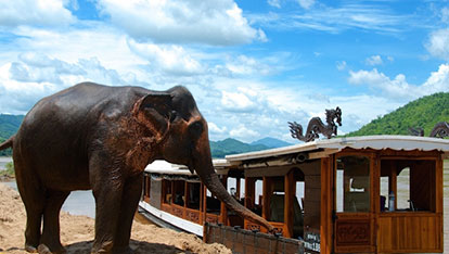 Dok Keow on Mekong river | 1 day