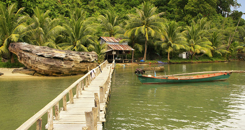 Mangrove Forest at Ream National Park