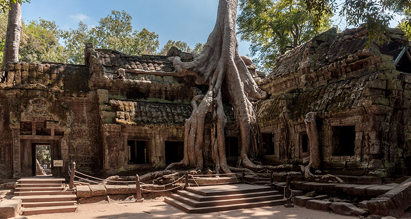 Ta Prohm temple