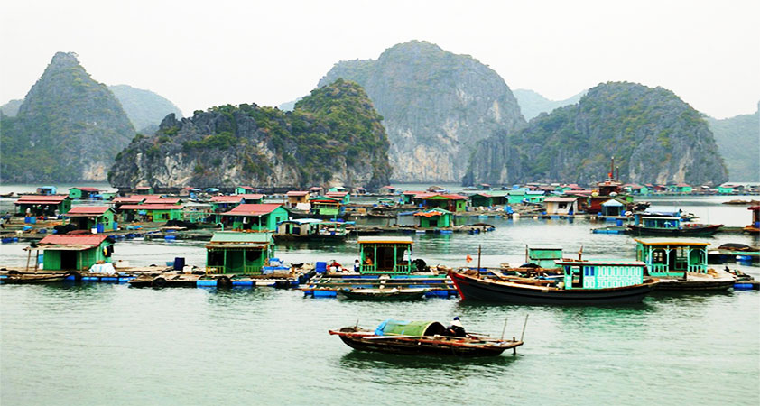 Cua Van Floating Village