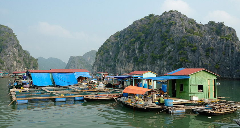 Cua Van floating village