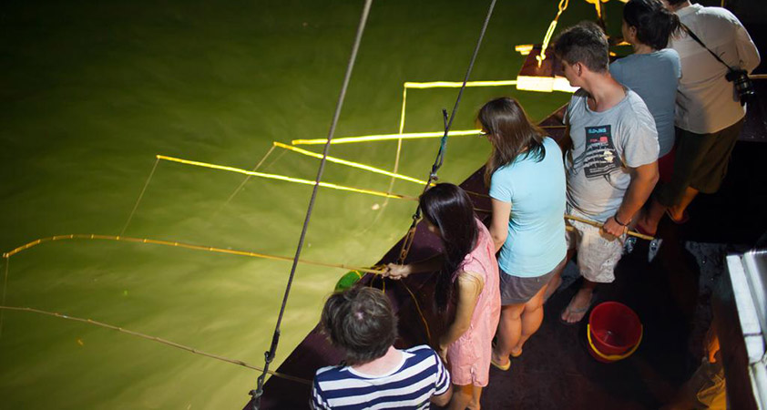 Floating fishing village