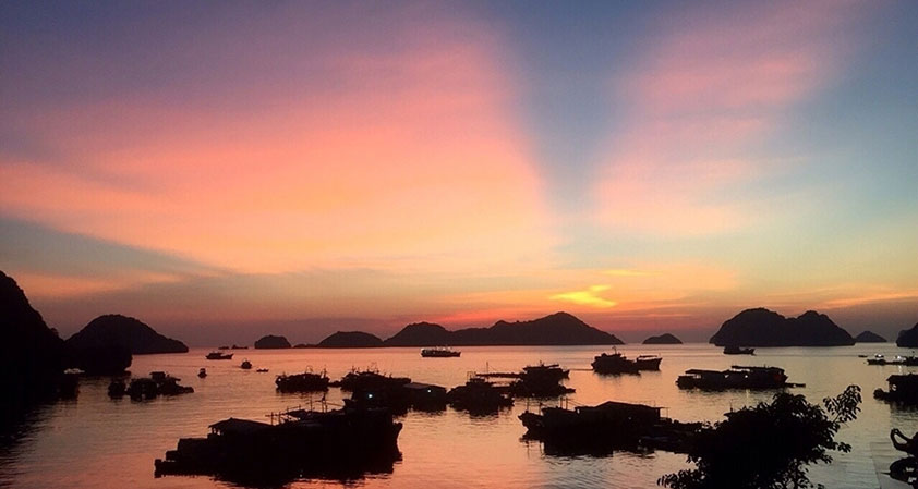 The amzing beauty of the Bay