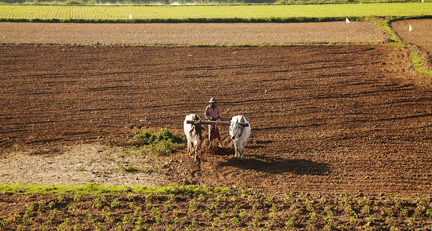 Shwe Pyi Thar village