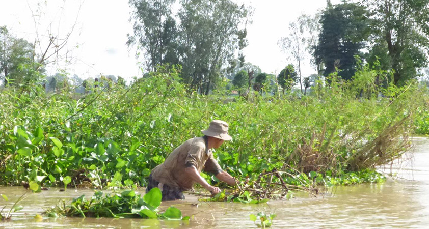 Brace yourself for a short excursion in Tan Chau