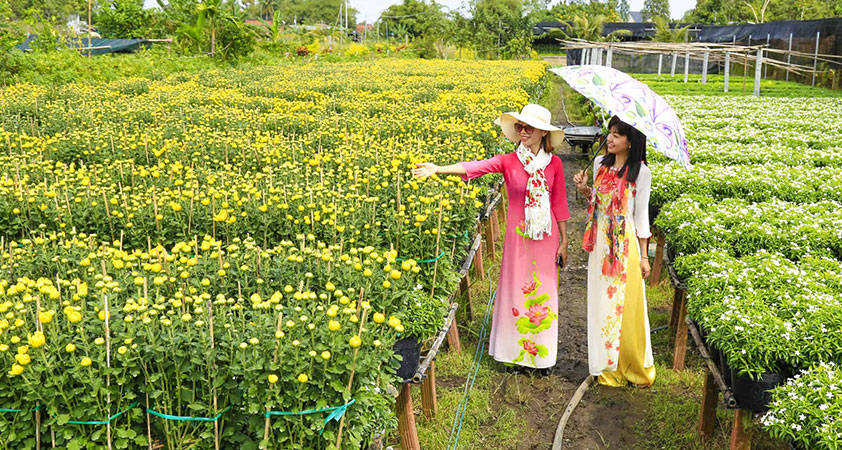 Sadec flower village