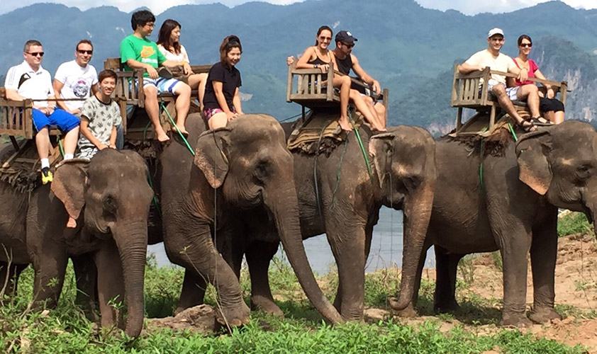  Elephant Camp