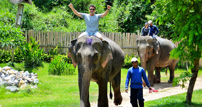 Elephant Rides in Luang Prabang