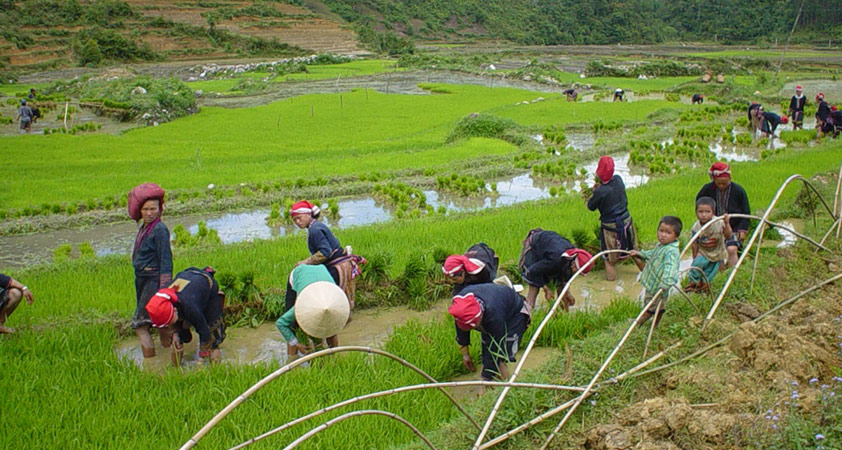 Ta Phin village