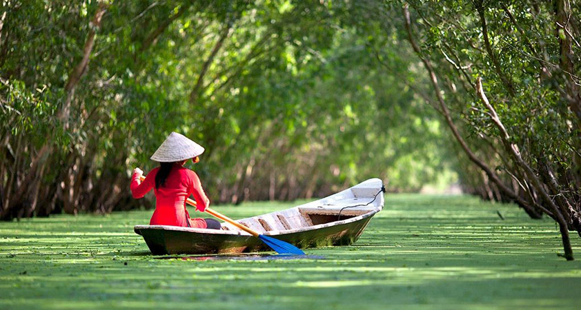 Join a sampan to go through cannals in Ben Tre 
